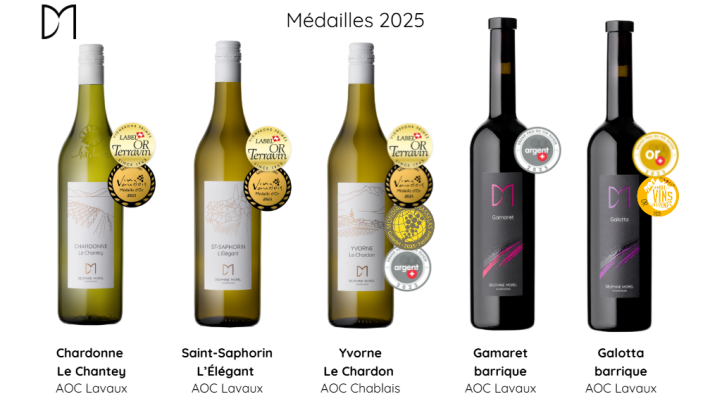 Une pluie de médailles obtenues en 2025